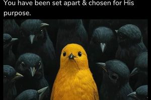 Image post by @iamcginnis on Instagram