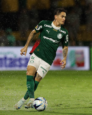 Image post by @palmeiras on Instagram