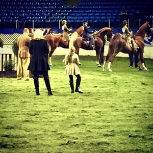 Image post by @american_royal on Instagram