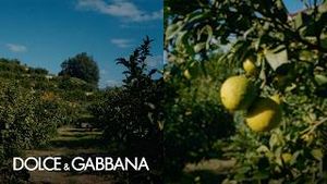 Video post by @dolcegabbana on YouTube
