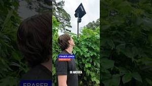 Video post by @ajcvideo on YouTube