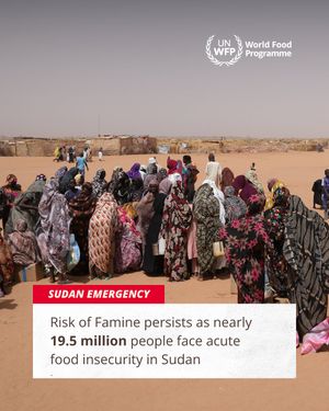 Image post by @unitednations on Instagram