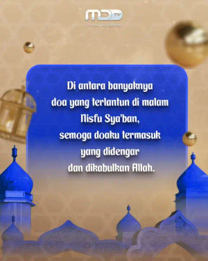 Image post by @mdtv.official on TikTok