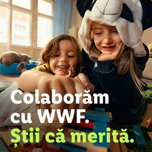 Image post by @lidlromania on Instagram