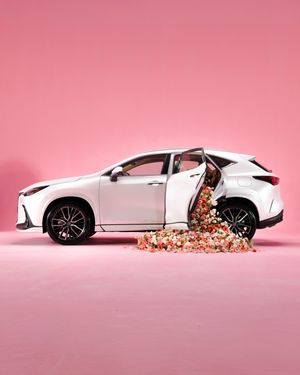 Image post by @discoverlexus on Instagram