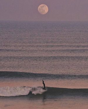 Image post by @fubiz on Instagram