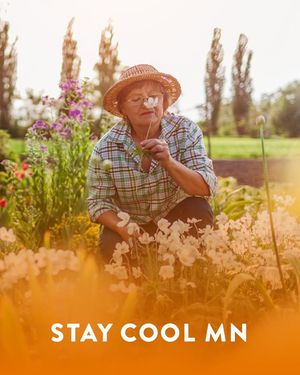 Image post by @mnhealth on Facebook