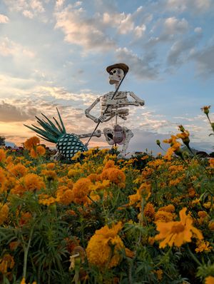 Image post by @googleespanol on Instagram