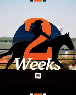 Image post by @auburnequestrian on Instagram