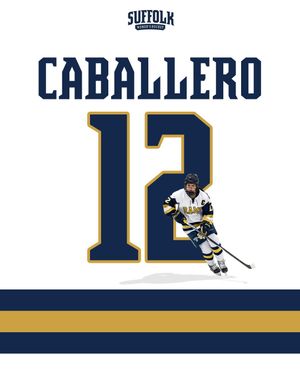 Image post by @su_whockey on Instagram