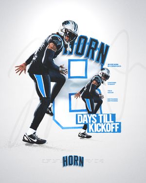 Image post by @panthers on Instagram