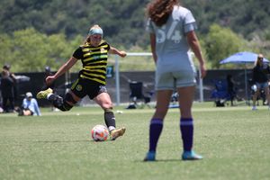 Image post by @HoundsAcademy on Twitter