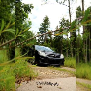 Image post by @c91photography on Instagram