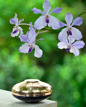 Image post by @guerlain on Instagram