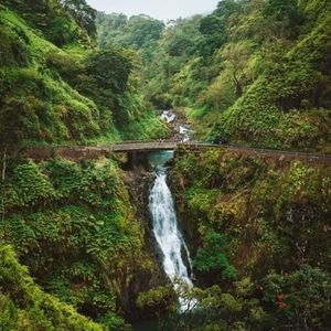 Image post by @coconutglens on Instagram