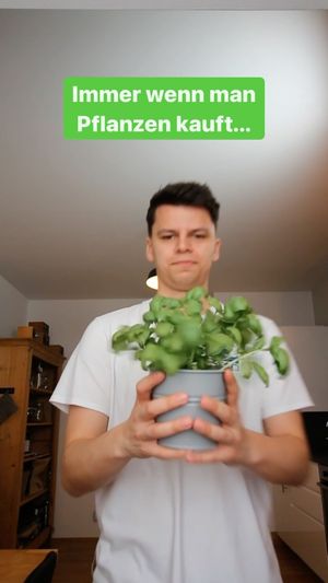 Video post by @paulomuc on Instagram