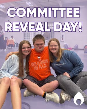 Image post by @clemsonmiracle on Instagram