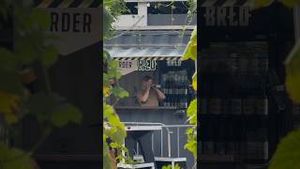 Video post by @brlobeer on YouTube