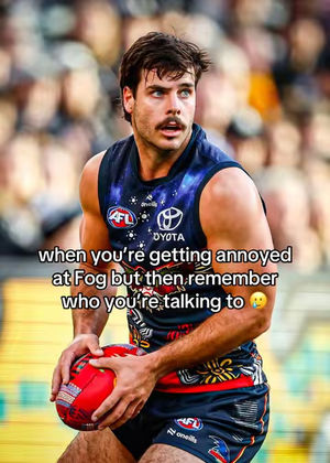 Image post by @adelaidefc on TikTok