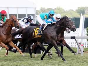 Image post by @keenelandsales on Twitter