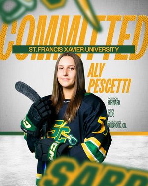 Image post by @scjrsabres on Instagram