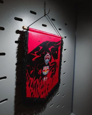 Image post by @redbullnewyork on Instagram