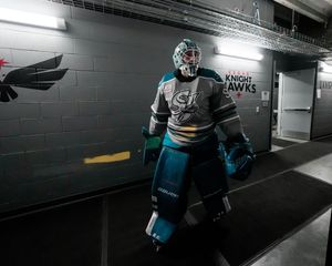 Image post by @sjbarracuda on Twitter