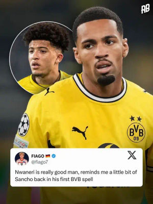 Image post by @risingballers on TikTok
