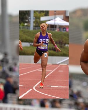 Image post by @markrigney on Instagram