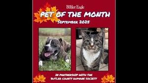 Video post by @butlereaglenews on YouTube