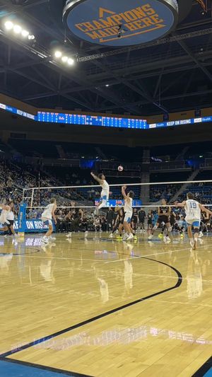 Video post by @hykchora on TikTok