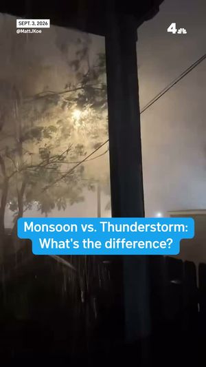 Video post by @nbcwashington on Instagram