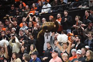 Image post by @BeaverMBB on Twitter