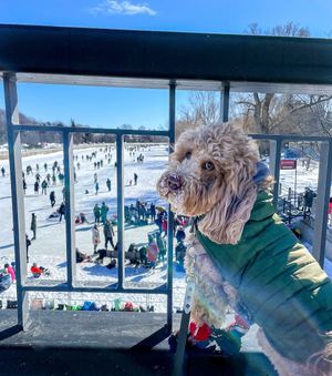 Image post by @rideaucanalskateway on Instagram