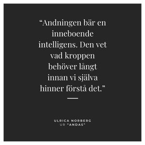 Image post by @ulricanorberg on Instagram