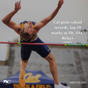Image post by @dailycalsports on Instagram