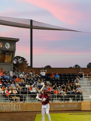 Image post by @elonbaseball on Instagram