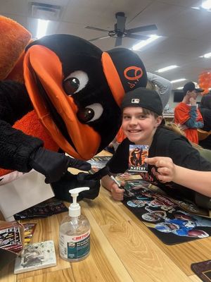 Image post by @OrioleBird on Twitter