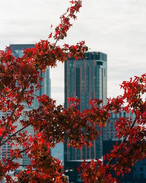 Image post by @eecreative7 on Instagram