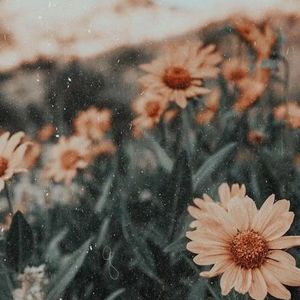 Image post by @oskarmatiz on Instagram