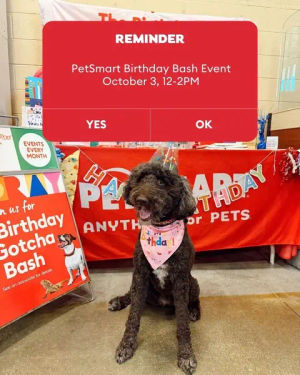 Video post by @petsmart on TikTok