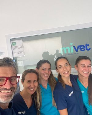 Image post by @vetconejero on Instagram