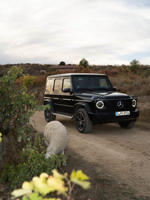 Image post by @mercedesbenz on Instagram