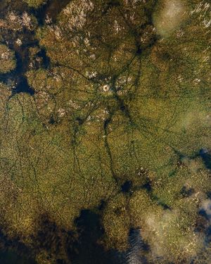 Image post by @droneartgallery on Instagram