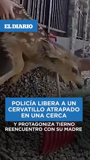 Image post by @eldiariony on Instagram