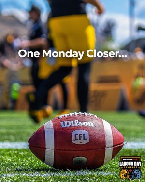 Image post by @hamiltontigercats on Instagram