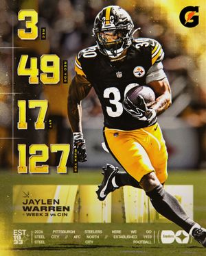 Image post by @steelers on Instagram
