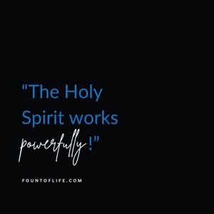 Image post by @fountoflifeco on Instagram