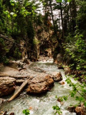 Image post by @anthonypolitano on Instagram