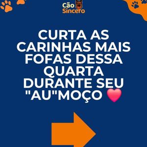 Image post by @adestradores.caosincero on Instagram